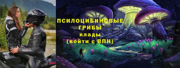 МДПВ Алзамай