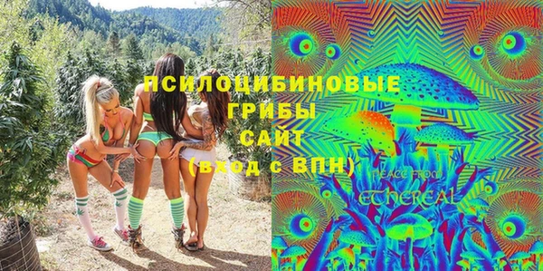 амф Новокубанск