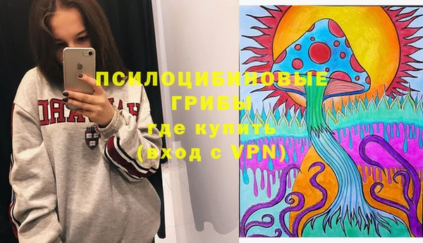 МДПВ Алзамай