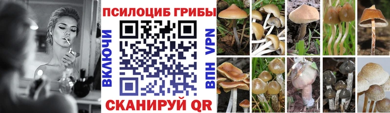 Галлюциногенные грибы прущие грибы  наркота  Павловская 